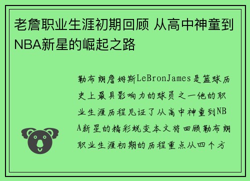 老詹职业生涯初期回顾 从高中神童到NBA新星的崛起之路